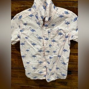 Flamingo Toddler button up